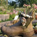 lebendiger Schuh