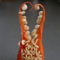 Paprika `Espelette´(Samenstand)