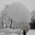Winter auf dem Schneckenhaus